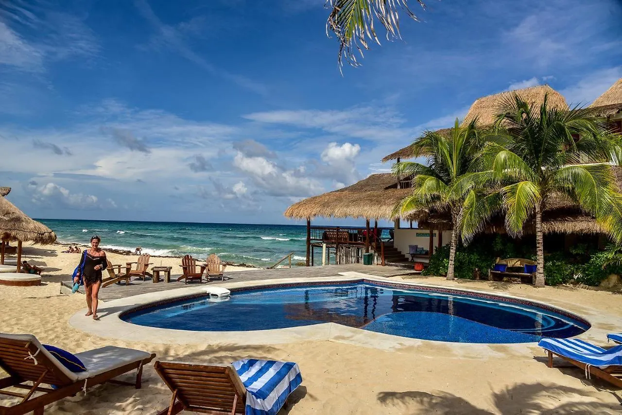 Ventanas Al Mar Beach Front Cozumel (Adults Only) 4*,