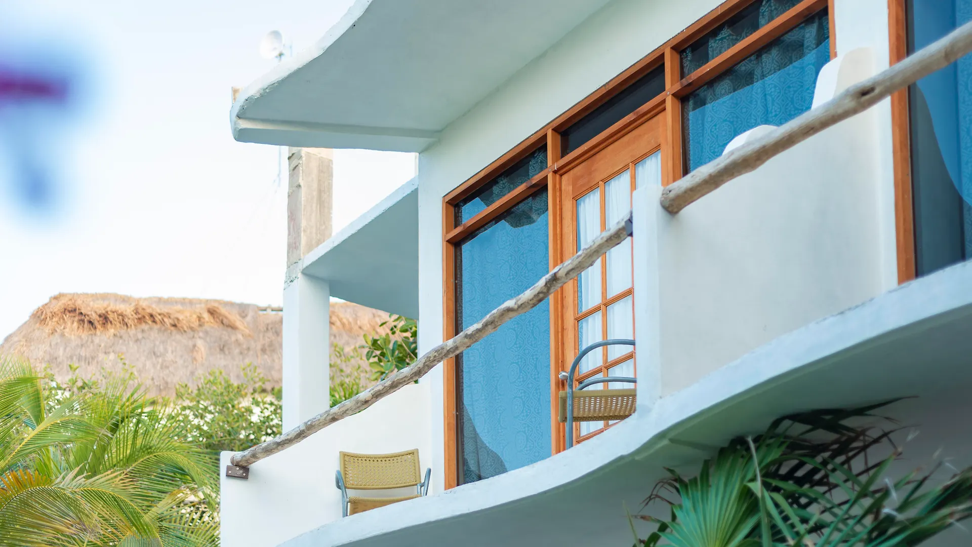 Hotel Ventanas Al Mar Beach Front Cozumel (Adults Only)