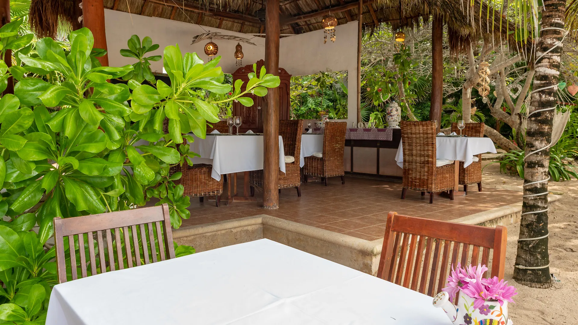 Ventanas Al Mar Beach Front Cozumel (Adults Only) Hotel