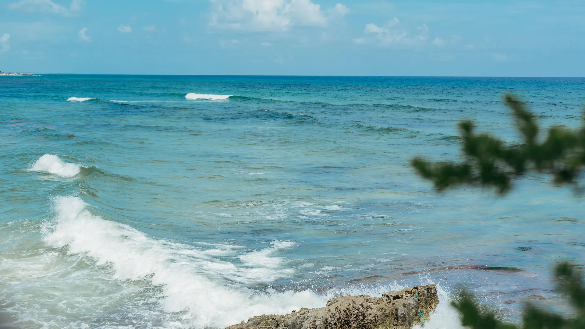 Ventanas Al Mar Beach Front Cozumel (Adults Only) México