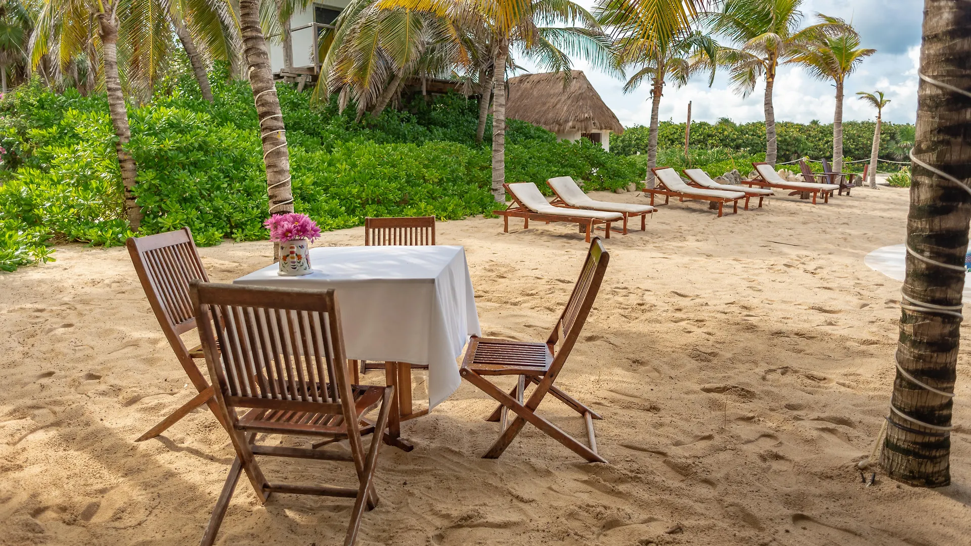Ventanas Al Mar Beach Front Cozumel (Adults Only)