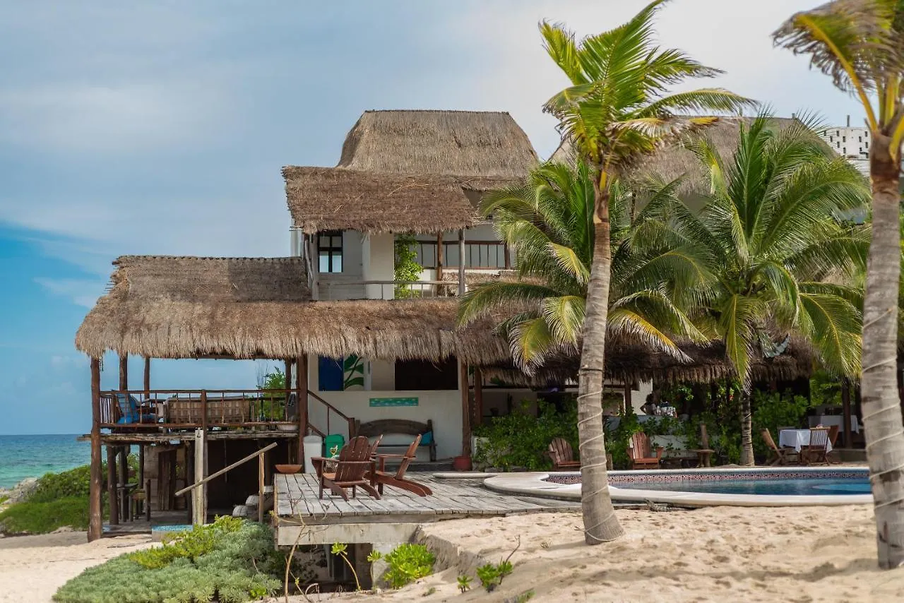 Ventanas Al Mar Beach Front Cozumel (Adults Only) 4*,