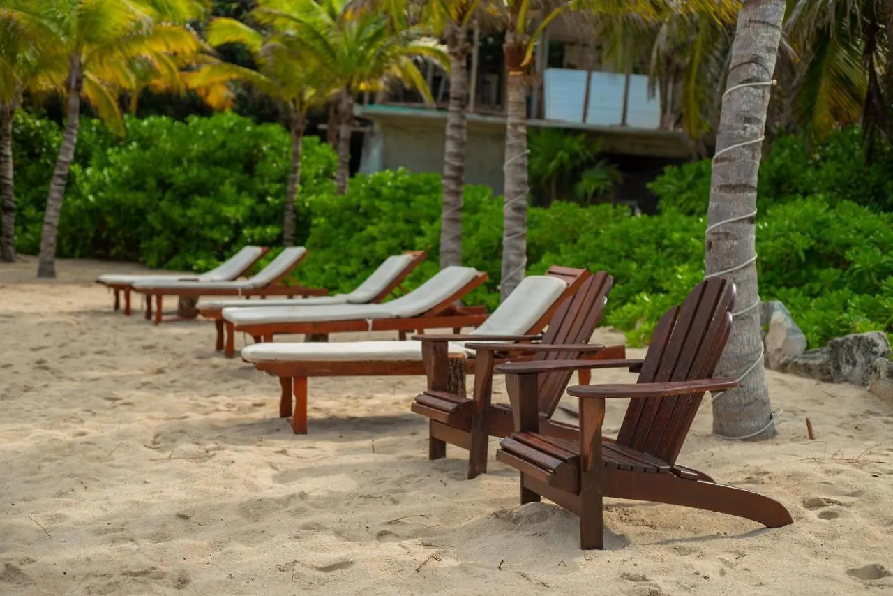 Hotel Ventanas Al Mar Beach Front Cozumel (Adults Only)