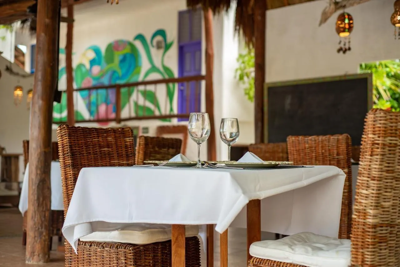 Ventanas Al Mar Beach Front Cozumel (Adults Only)