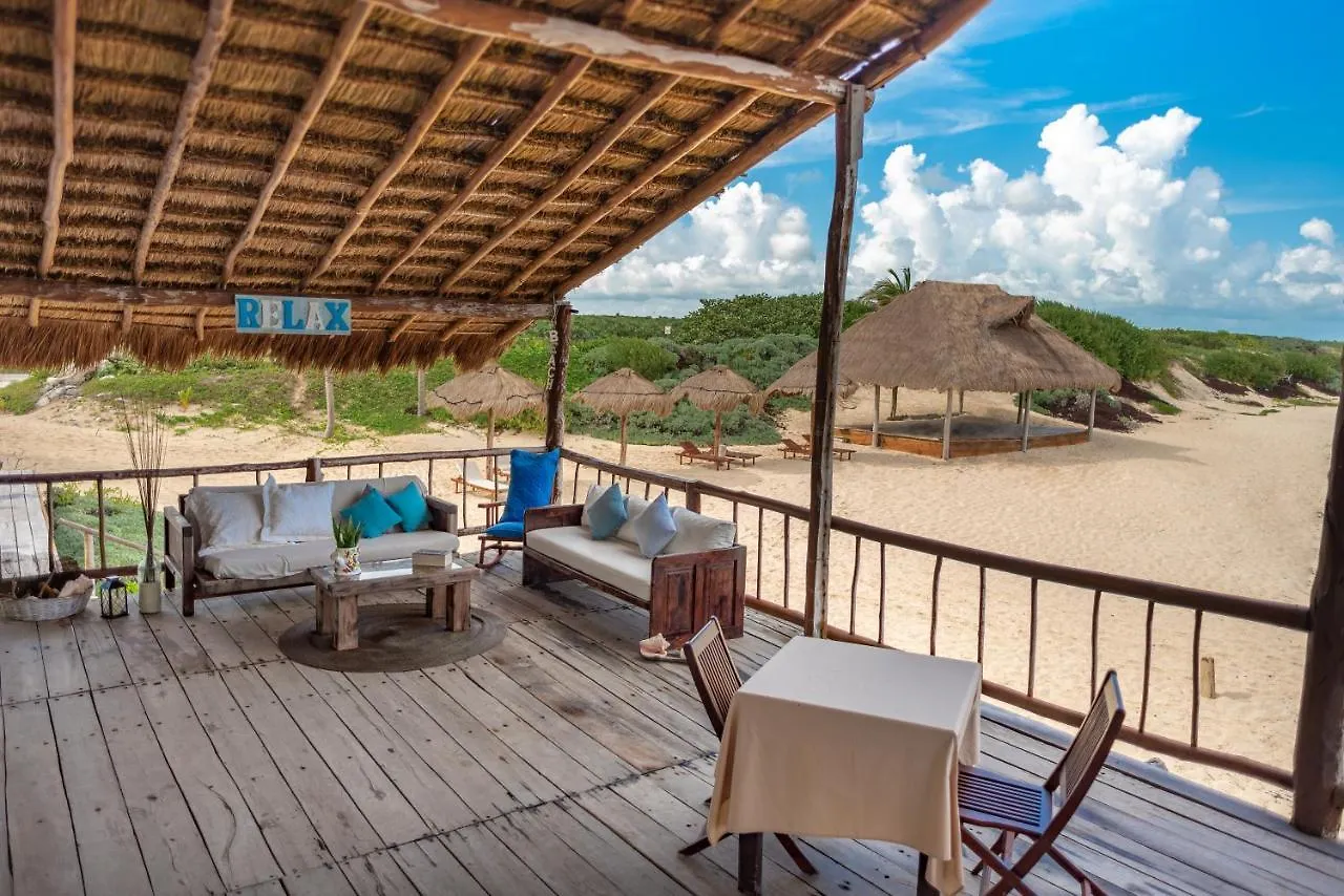 Hotel Ventanas Al Mar Beach Front Cozumel (Adults Only)
