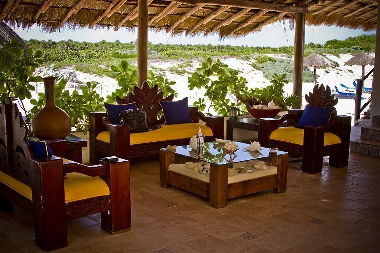 Ventanas Al Mar Beach Front Cozumel (Adults Only) Hotel