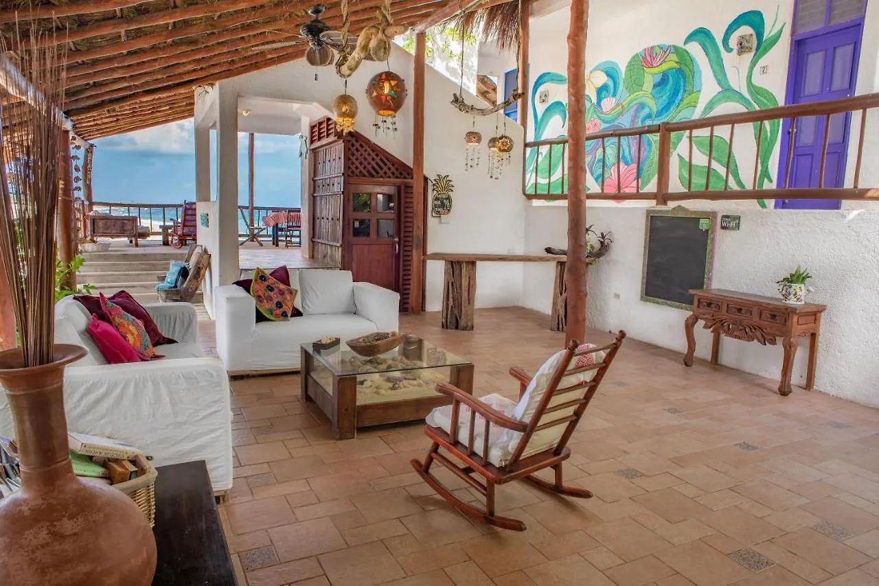 Ventanas Al Mar Beach Front Cozumel (Adults Only) 4*,  Mexico