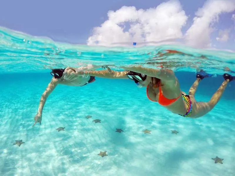 Ventanas Al Mar Beach Front Cozumel (Adults Only) 酒店